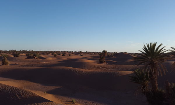2015-05-27 19.33.32
